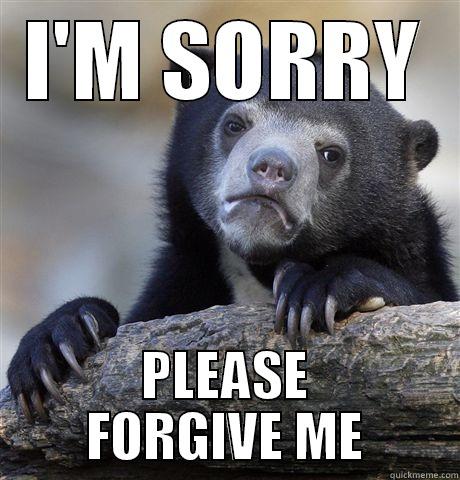 I'M SORRY PLEASE FORGIVE ME Confession Bear