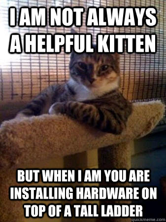 I am not always a helpful kitten But when I am you are installing hardware on top of a tall ladder  The Most Interesting Cat in the World