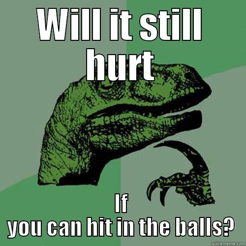 WILL IT STILL HURT IF YOU CAN HIT IN THE BALLS? Philosoraptor