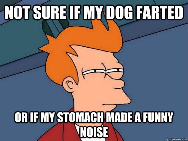 Not sure if my dog farted Or if my stomach made a funny noise  Futurama Fry