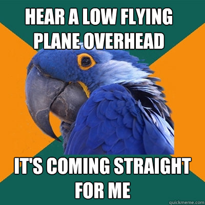 hear a Low flying plane overhead it's coming straight for me  Paranoid Parrot