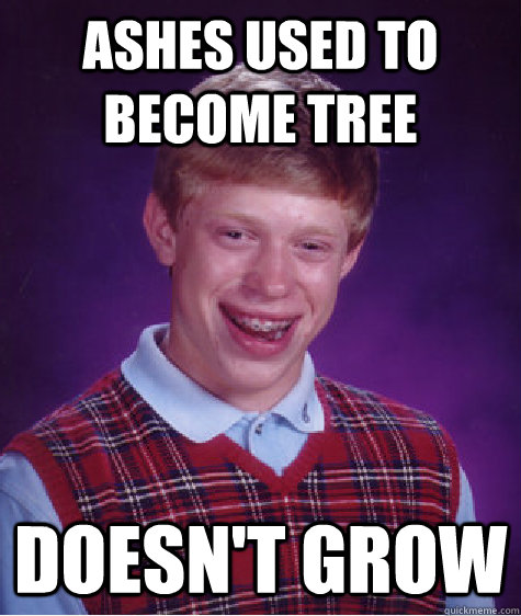 Ashes used to become tree doesn't grow  Bad Luck Brian