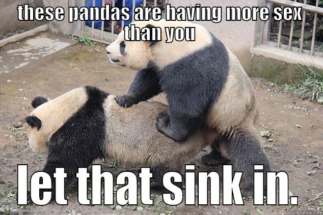 THESE PANDAS ARE HAVING MORE SEX THAN YOU LET THAT SINK IN. Misc