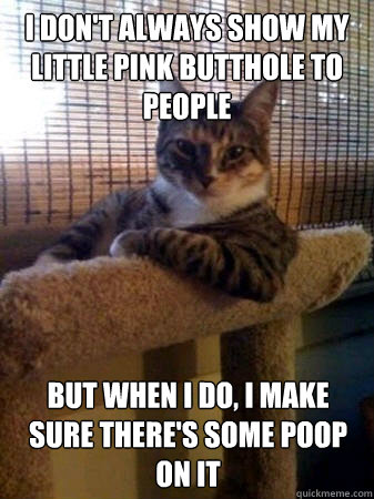 I don't always show my little pink butthole to people but when I do, I make sure there's some poop on it - I don't always show my little pink butthole to people but when I do, I make sure there's some poop on it  The Most Interesting Cat in the World