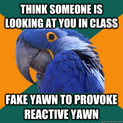 Think someone is looking at you in class Fake yawn to provoke reactive yawn  - Think someone is looking at you in class Fake yawn to provoke reactive yawn   Paranoid Parrot
