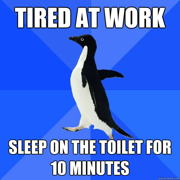 tired at work sleep on the toilet for 10 minutes  Socially Awkward Penguin