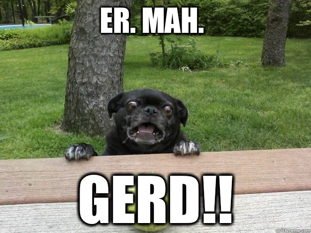 Er. Mah. Gerd!!  Berks Dog