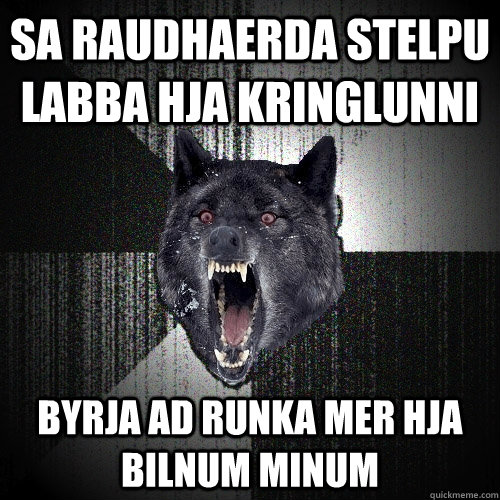 sa raudhaerda stelpu labba hja kringlunni byrja ad runka mer hja bilnum minum  Insanity Wolf