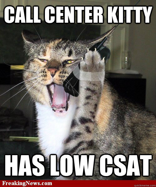 Call center Kitty has low csat  