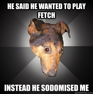 HE SAID HE WANTED TO PLAY FETCH INSTEAD HE SODOMISED ME  Depression Dog