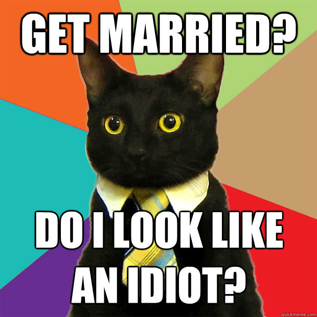 get married? Do I look like 
an idiot? - get married? Do I look like 
an idiot?  Business Cat