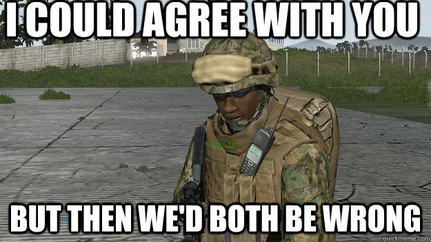i could agree with you but then we'd both be wrong  