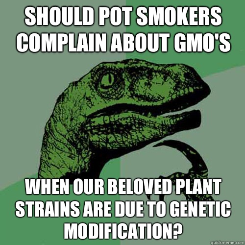 Should pot smokers complain about GMO's When our beloved plant strains are due to genetic modification?   Philosoraptor