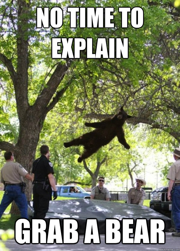 No Time To Explain Grab a Bear  