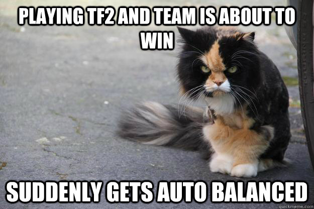 Playing TF2 and team is about to win Suddenly gets auto balanced  Angry Cat