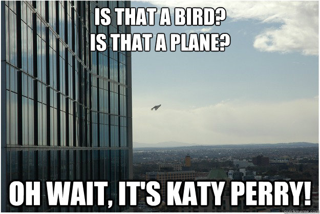 is that a bird?
is that a plane? oh wait, it's katy perry! - is that a bird?
is that a plane? oh wait, it's katy perry!  katy perry plastic bag