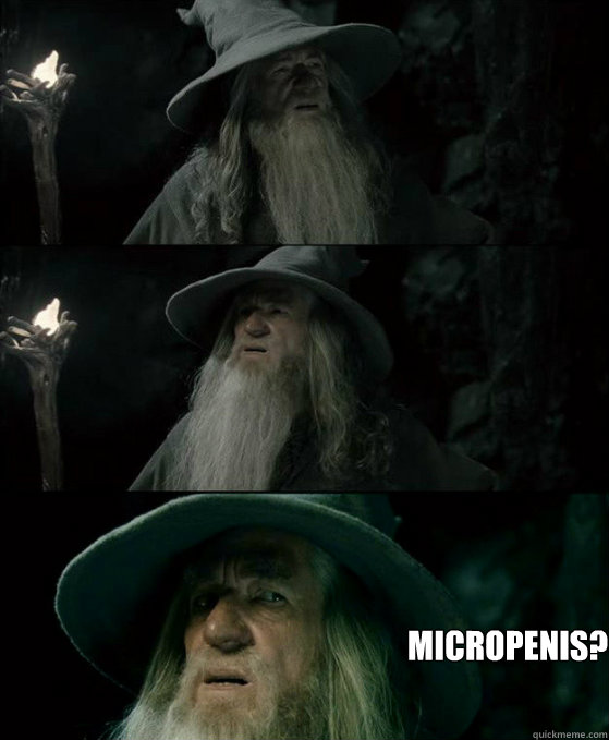   micropenis?  Confused Gandalf