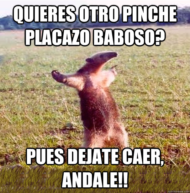 QUIERES OTRO PINCHE PLACAZO BABOSO? PUES DEJATE CAER, ANDALE!!  