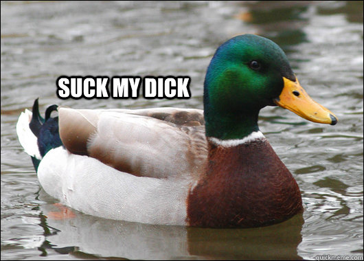   SUCK MY DICK  Actual Advice Mallard