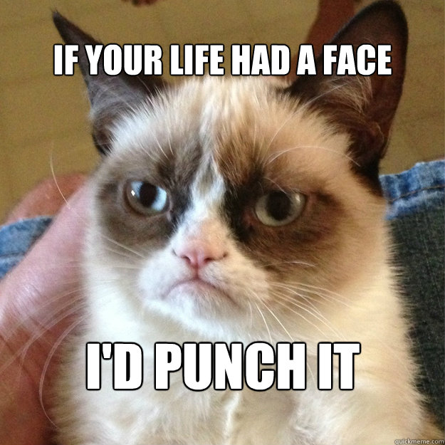 IF YOUR LIFE HAD A FACE I'D PUNCH IT - IF YOUR LIFE HAD A FACE I'D PUNCH IT  Misc