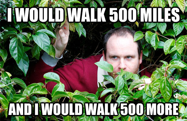 I WOULD WALK 500 MILES AND I WOULD WALK 500 MORE  Creepy Stalker Guy