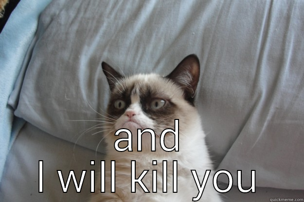  AND L WILL KILL YOU Grumpy Cat