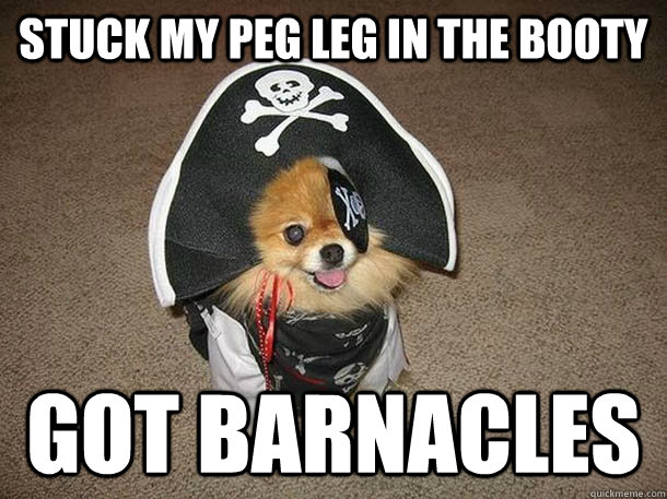stuck my peg leg in the booty got barnacles  Inappropriate Sexual Innuendo Dog That Talks and Dresses Like a Pirate