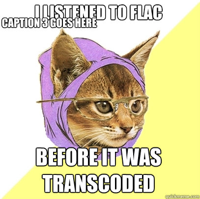 I listened to FLAC Before it was transcoded Caption 3 goes here  Hipster Kitty