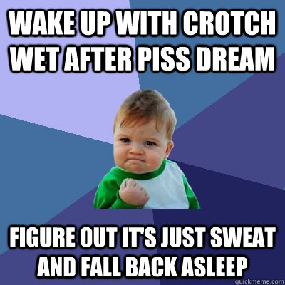 wake up with crotch wet after piss dream figure out it's just sweat and fall back asleep  Success Kid