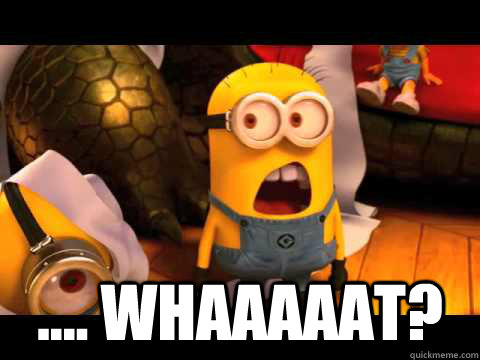  .... WHAAAAAT?  minion