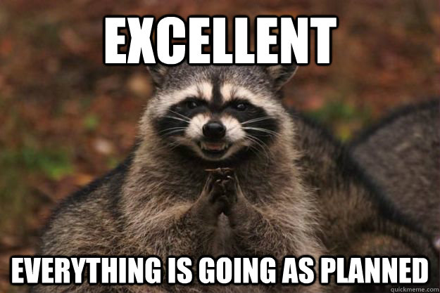 Excellent everything is going as planned - Excellent everything is going as planned  Evil Plotting Raccoon