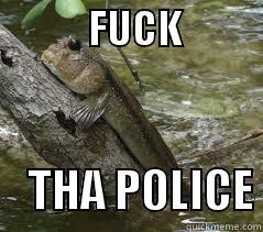            FUCK               THA POLICE Misc