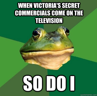 When victoria's secret commercials come on the television so do i  Foul Bachelor Frog