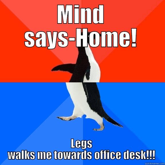 MIND SAYS-HOME! LEGS WALKS ME TOWARDS OFFICE DESK!!! Socially Awesome Awkward Penguin