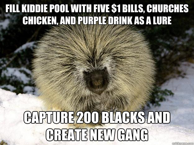 Fill kiddie pool with five $1 bills, churches chicken, and purple drink as a lure
 Capture 200 blacks and create new gang  