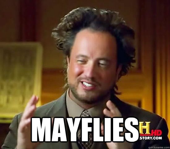  Mayflies  Ancient Aliens
