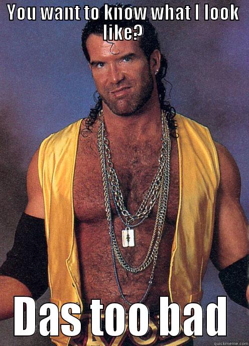 Razor Ramon Meme - YOU WANT TO KNOW WHAT I LOOK LIKE? DAS TOO BAD Misc