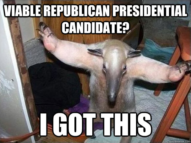 viable republican presidential candidate? I got this  I got this