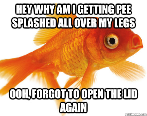 hey why am I getting pee splashed all over my legs ooh, forgot to open the lid again  Forgetful Fish