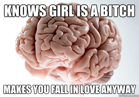 Knows girl is a bitch Makes you fall in love anyway  Scumbag Brain