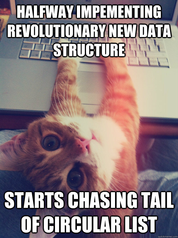 Halfway impementing revolutionary new data structure Starts chasing tail of circular list  Programmer Cat
