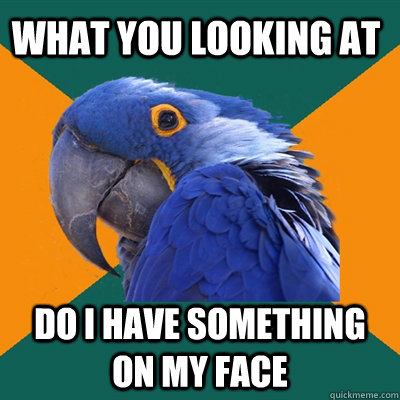 what you looking at do I have something on my face  Paranoid Parrot
