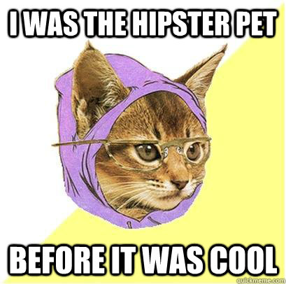 I was the hipster pet before it was cool - I was the hipster pet before it was cool  Hipster cat.