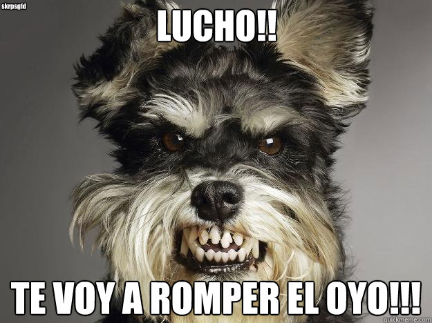 LUCHO!! TE VOY A ROMPER EL OYO!!! skrpsgfd  Perro enojado