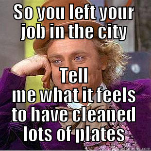 SO YOU LEFT YOUR JOB IN THE CITY TELL ME WHAT IT FEELS TO HAVE CLEANED LOTS OF PLATES Condescending Wonka