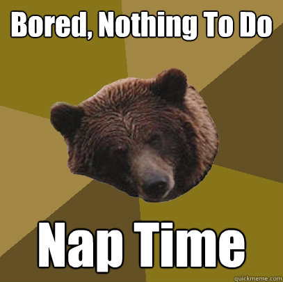 Bored, Nothing To Do Nap Time  Lazy Bachelor Bear