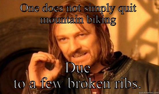 ONE DOES NOT SIMPLY QUIT MOUNTAIN BIKING DUE TO A FEW BROKEN RIBS. Boromir