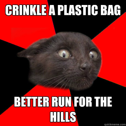 Crinkle a plastic bag Better run for the hills  Scaredy cat