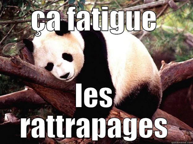 ÇA FATIGUE LES RATTRAPAGES Procrastination Panda