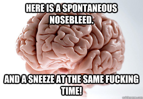 Here is a spontaneous nosebleed. And a sneeze at the same fucking time!  ScumbagBrain